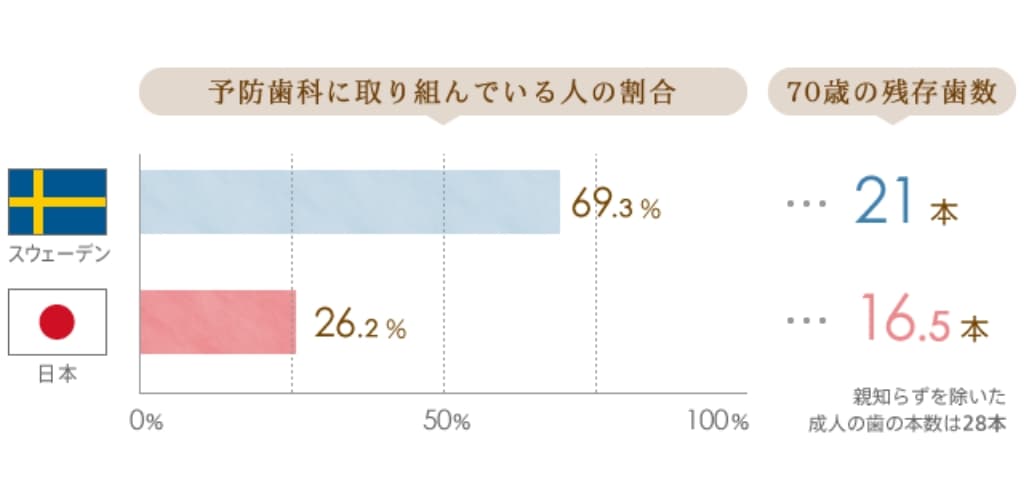 スウェーデンと日本の残存歯数の比較